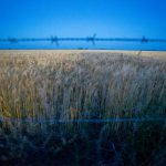 Modificación de ley de tierras en Argentina: impactos directos en la soberanía alimentaria